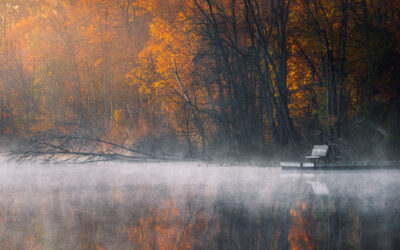 Die verlernte Kompetenz der Innenschau