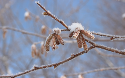 Der Anfang ist noch nicht vorbei